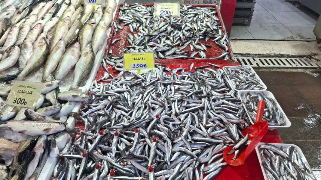 Konya’da balık çok ilgi yok! İşte Konya’da güncel balık fiyatları… 7